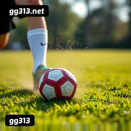 Imagem secundária de apoio para instalação do app gg313